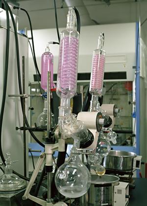 撮影時被写体を際立たせる為の背景布